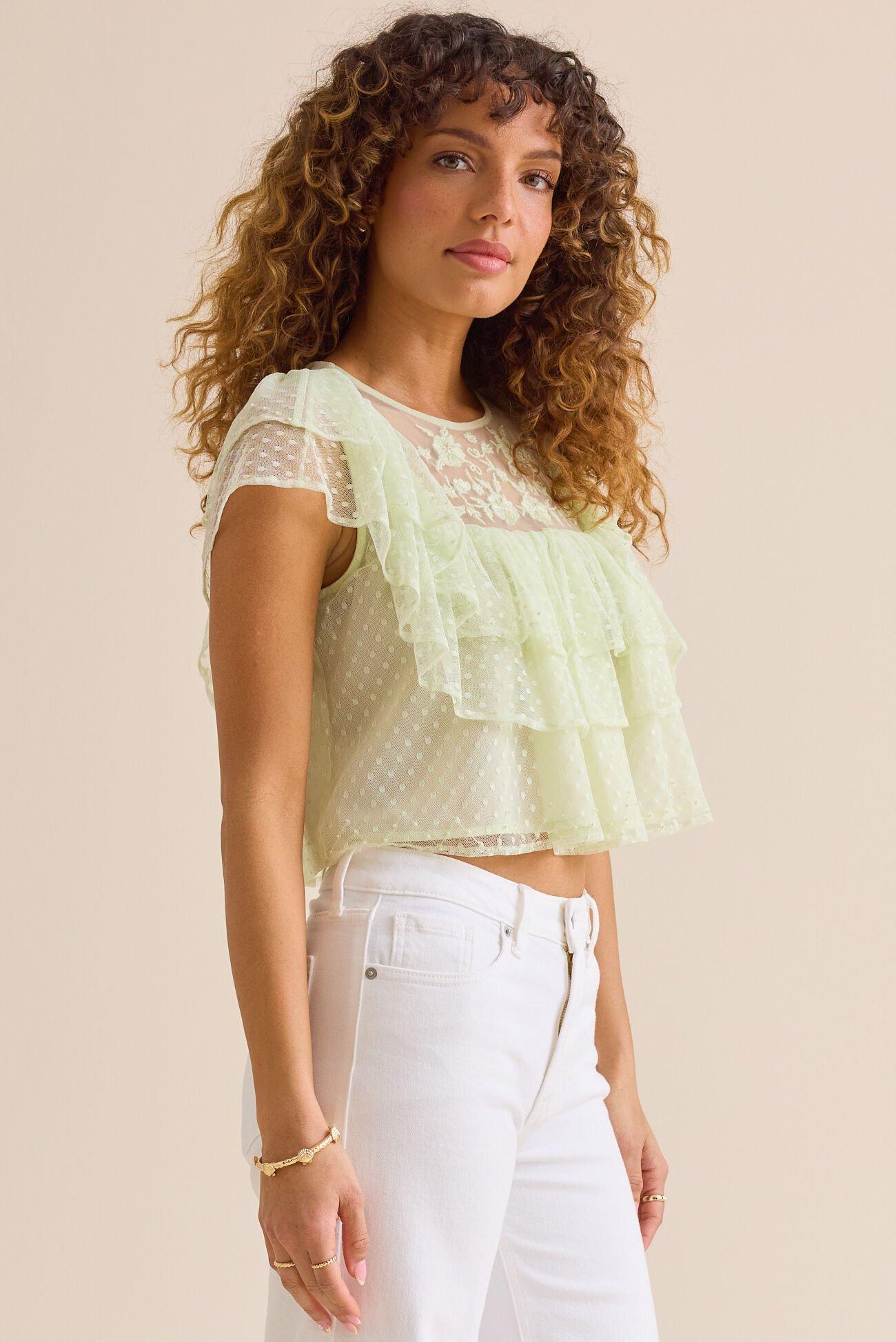 Brooklyn Dot Mesh Embroidered Top Product Image