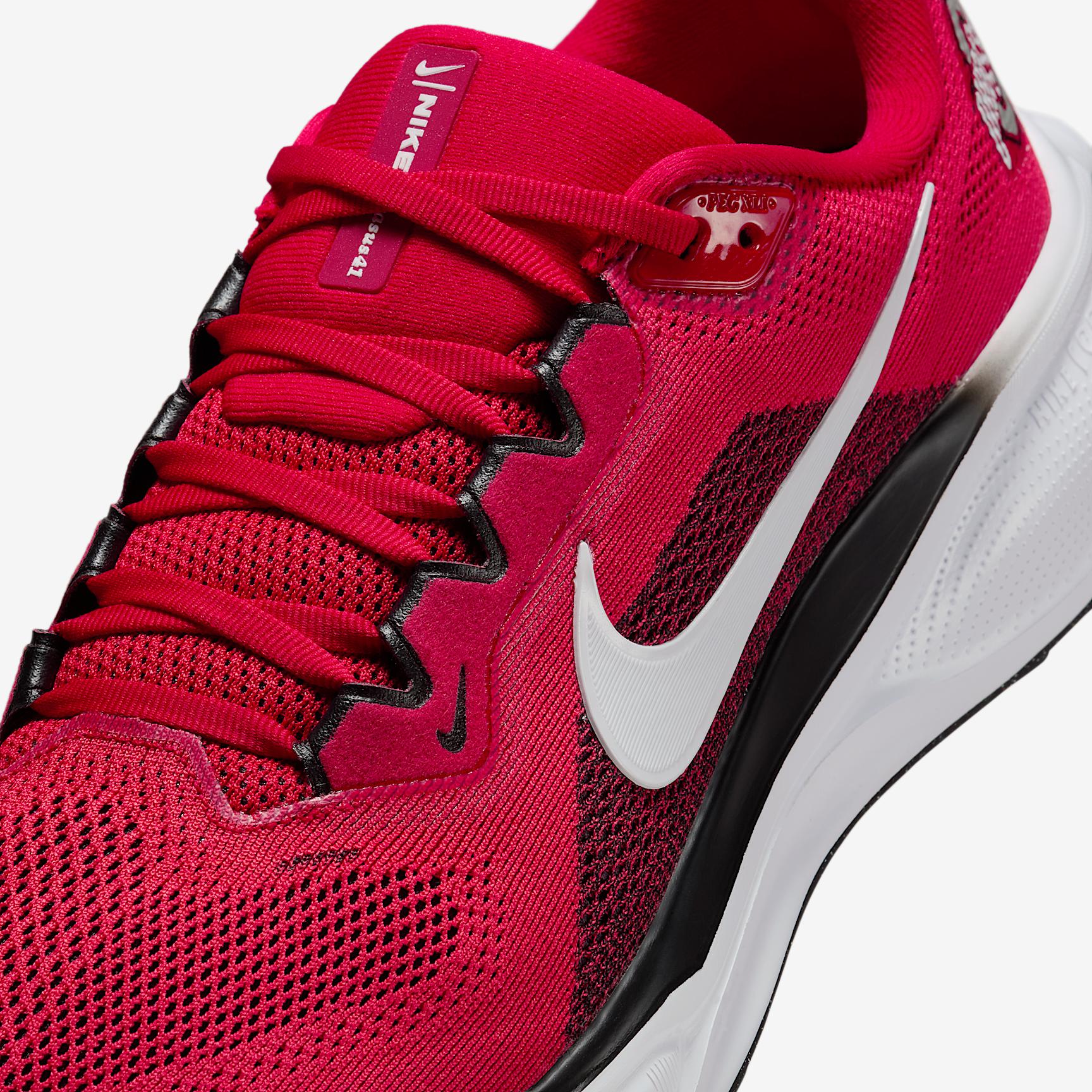 Ohio State Pegasus 41 Men's Nike College Road Running Shoes Product Image