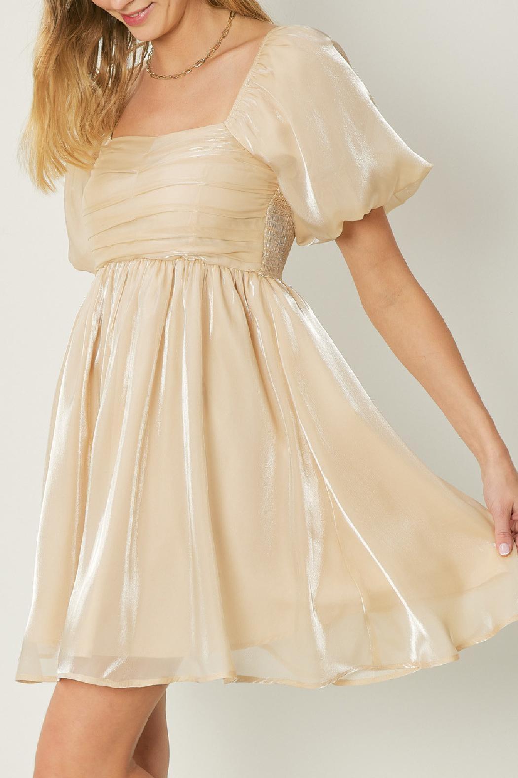 Organza Bubble Sleeve Dress Product Image