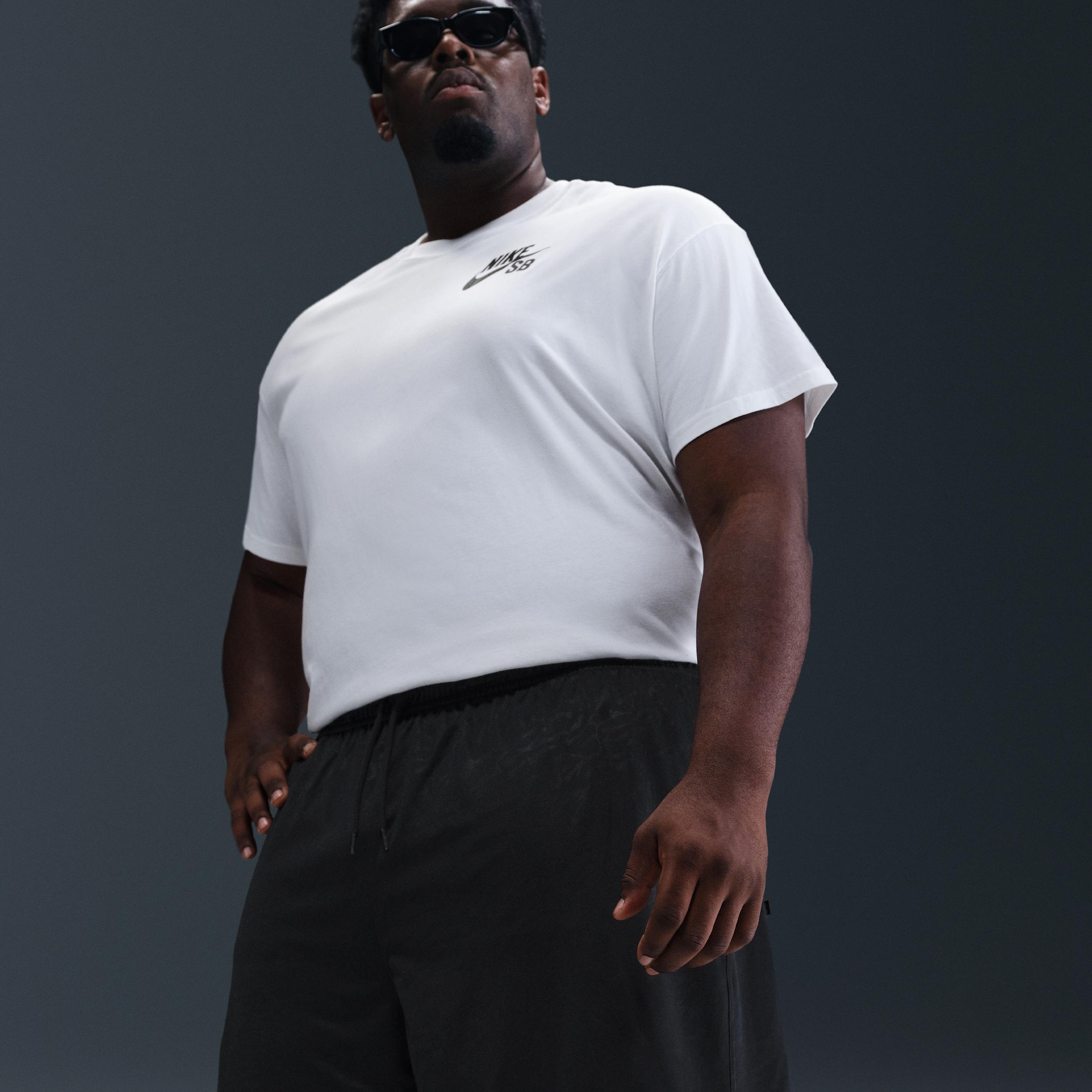 Nike SB Dri-FIT Skate Shorts Product Image