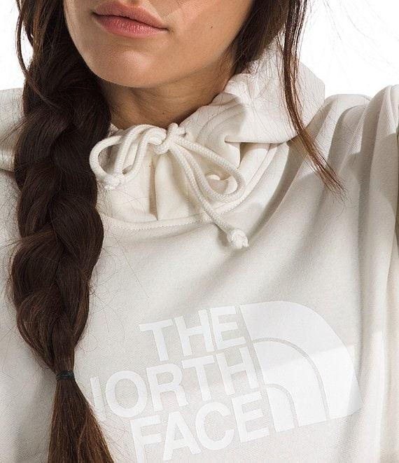 The North Face Evolution Half Dome Pullover Hoodie Product Image