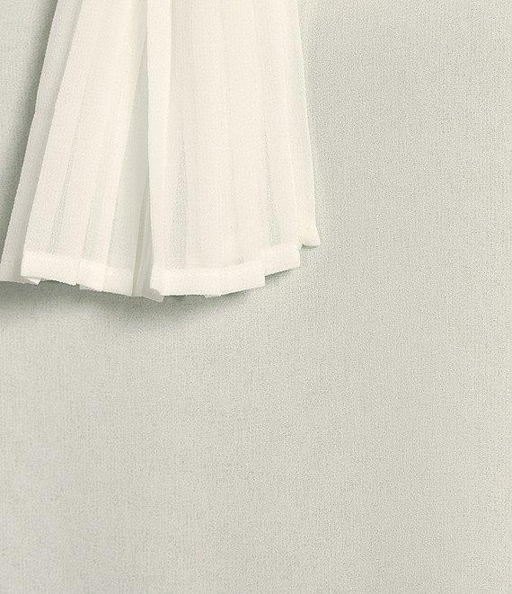 Calvin Klein Chiffon V-Neck Scarf Long Sleeve Blouse Product Image