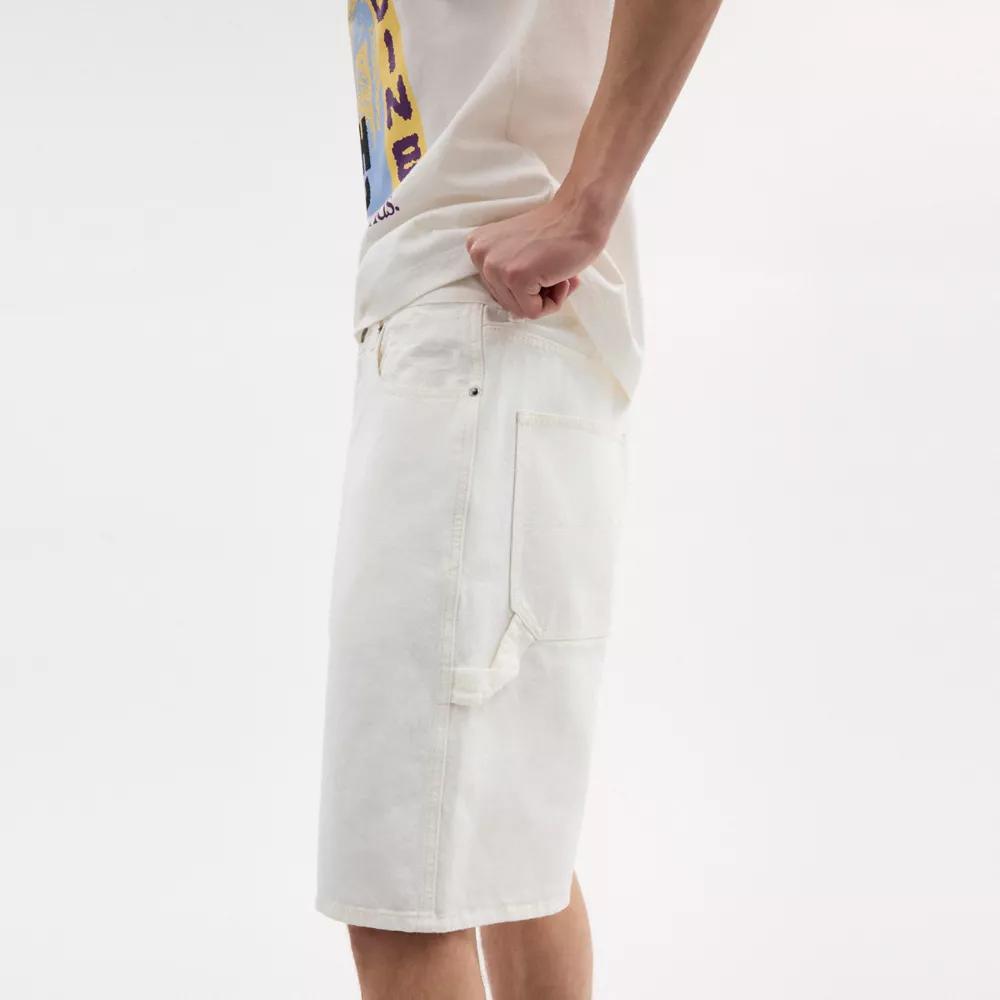 Denim Shorts Product Image
