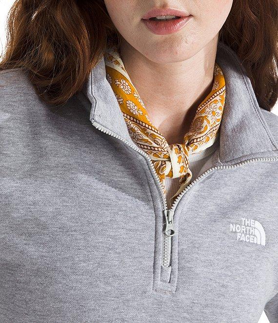 The North Face Evolution Embroidered Logo Mock Neck Quarter Zip Pullover Product Image