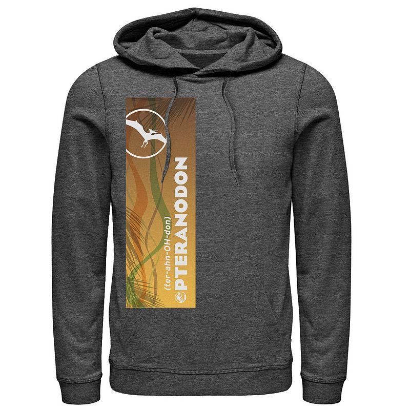 Disney's Cinderella Halloween Pumpkin Patch Men's Hoodie,  Product Image