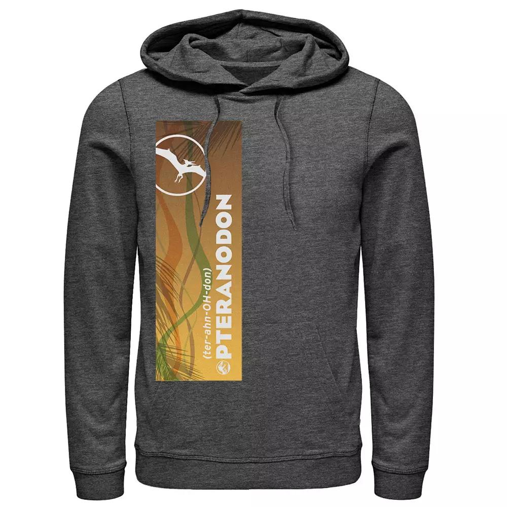 Disney's Cinderella Halloween Pumpkin Patch Men's Hoodie,  Product Image