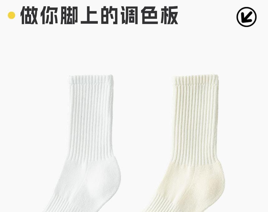 Plain Ribbed Socks / Set Product Image