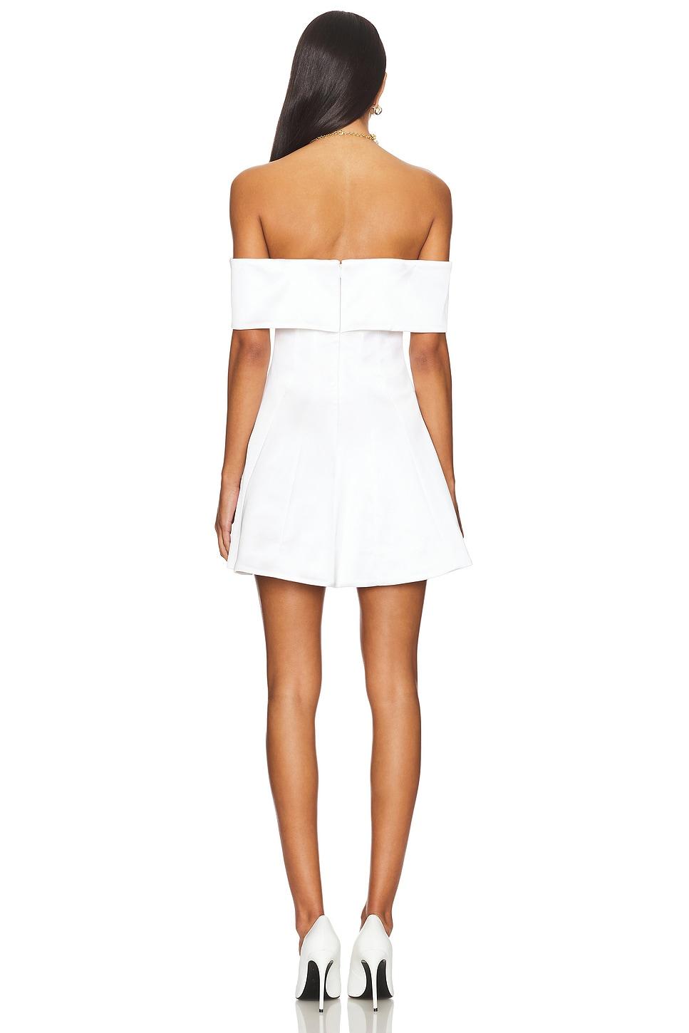 Elise Mini Dress Lovers and Friends Product Image