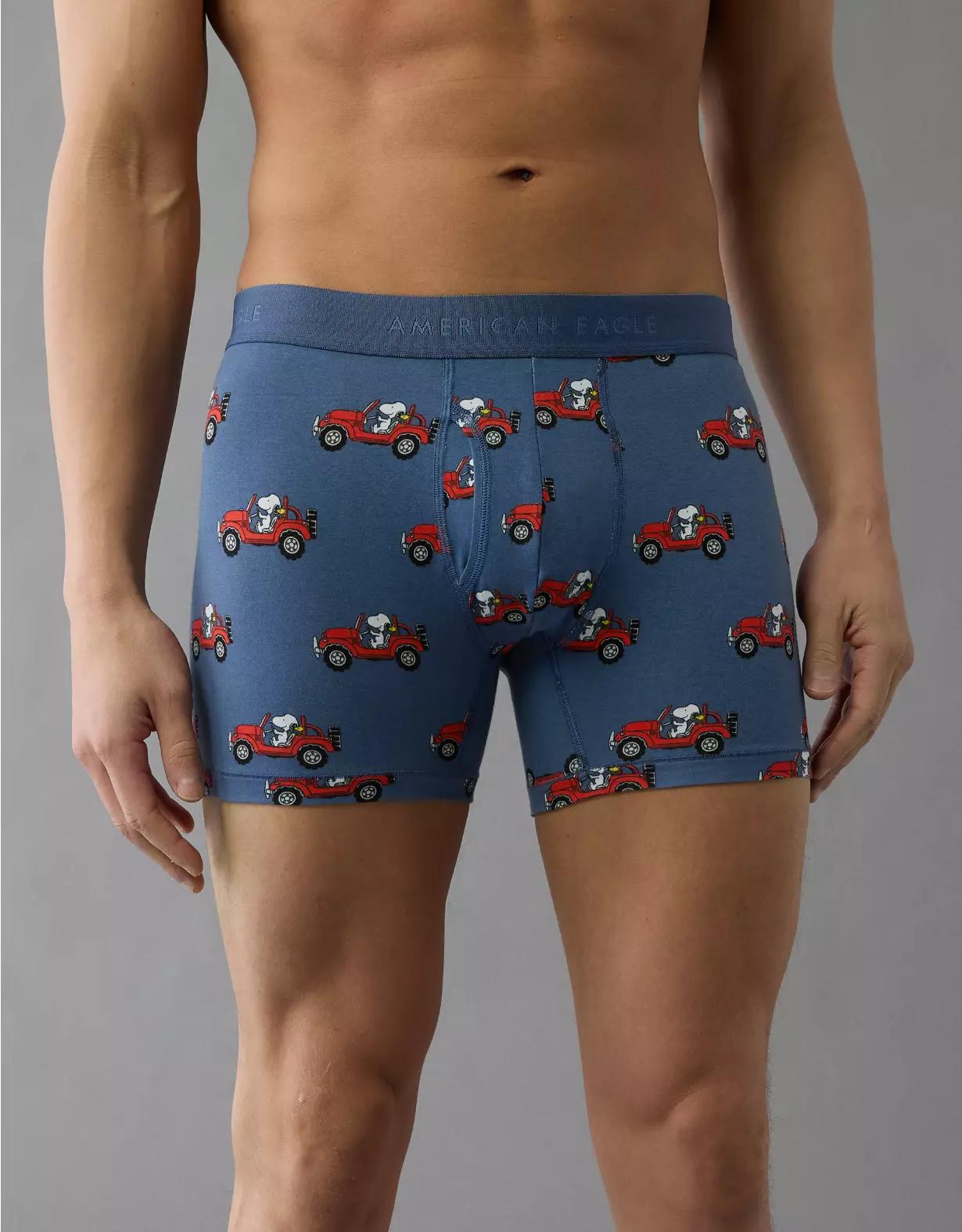 AEO Men's 4.5" Classic Boxer Brief Product Image