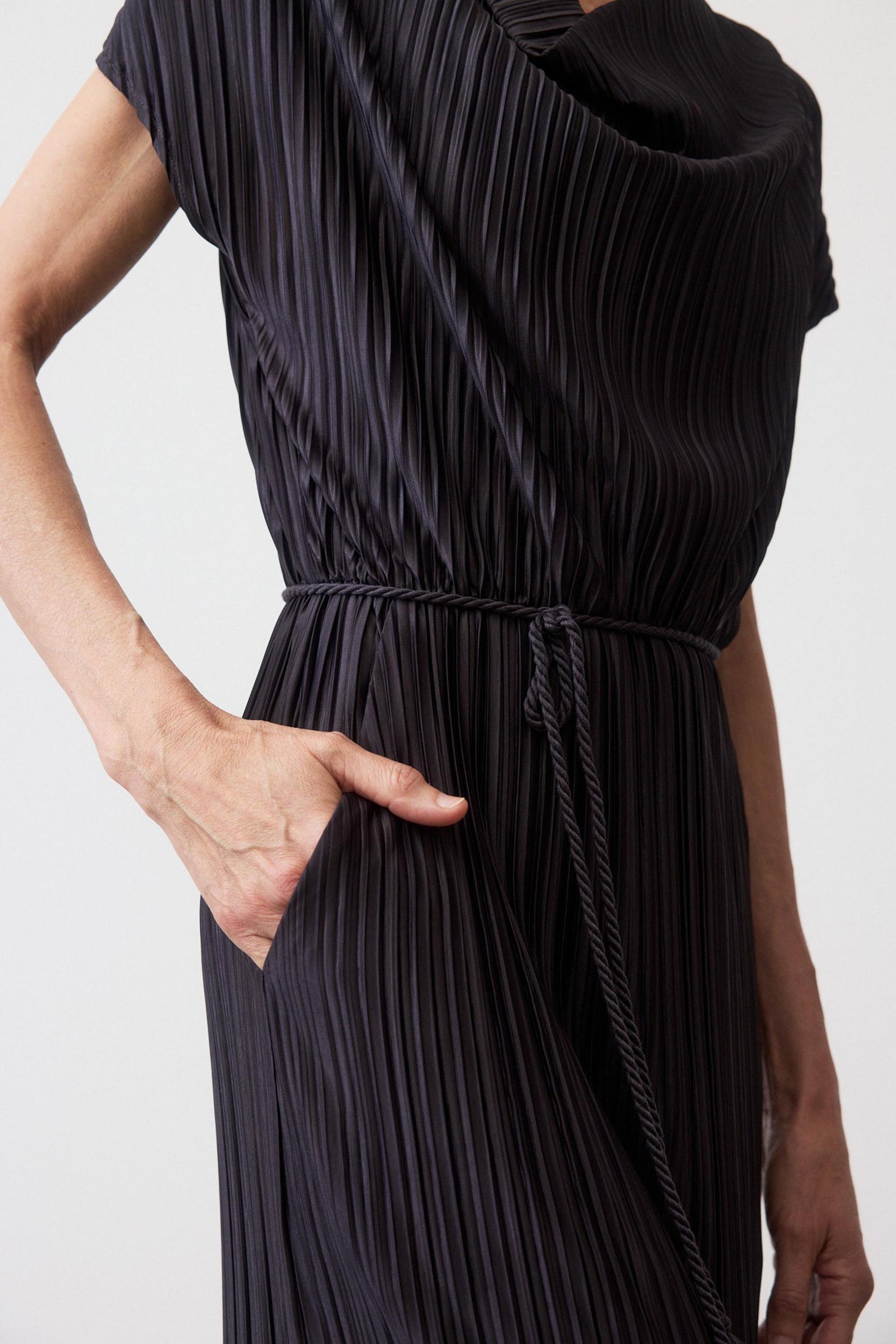 Draped Pleated Maxi Dress Product Image