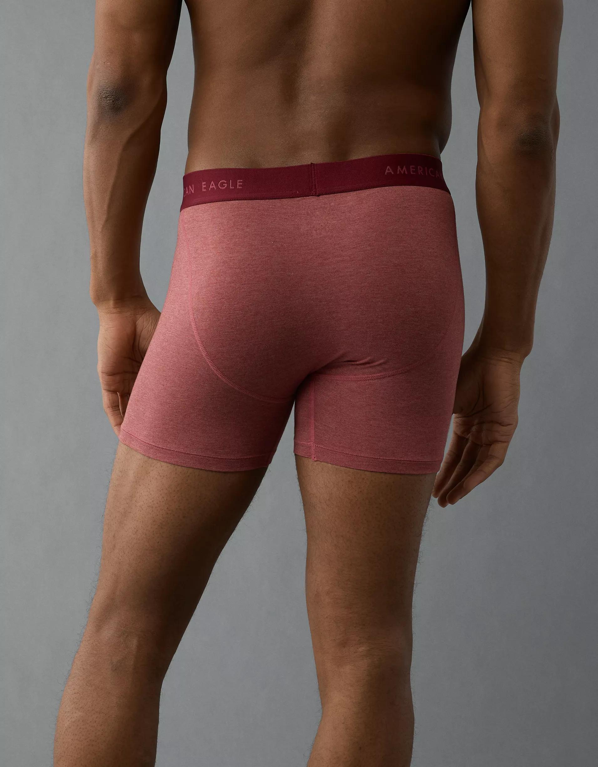 AEO Men's 4.5" Classic Boxer Brief Product Image