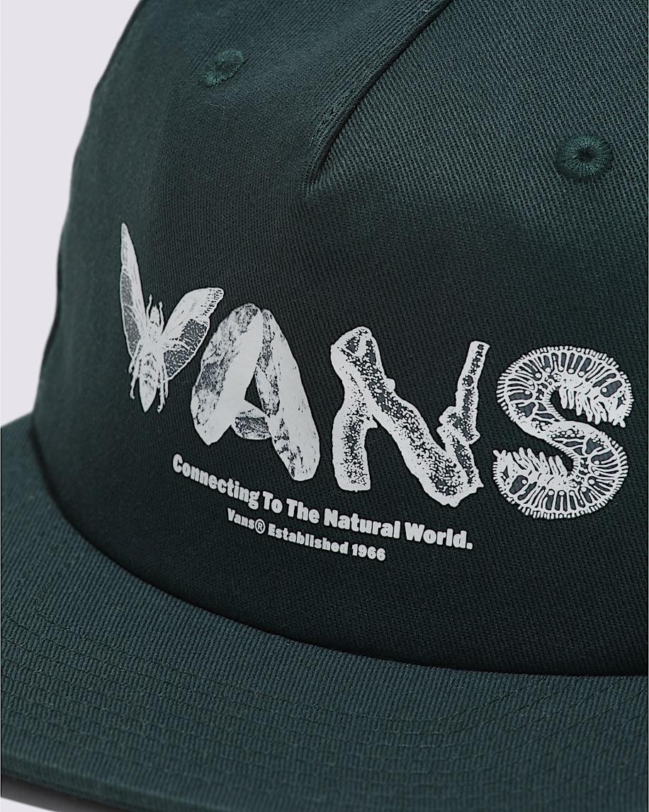 Artifacts Low Unstructured Hat in Green Gables| Vans US Product Image