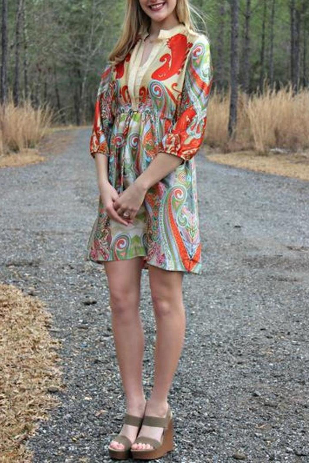 Paisley V-Neck Dress Product Image
