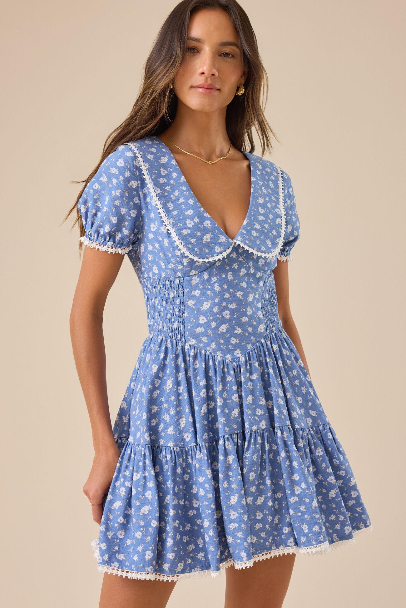 Ingrid Mini Dress Product Image