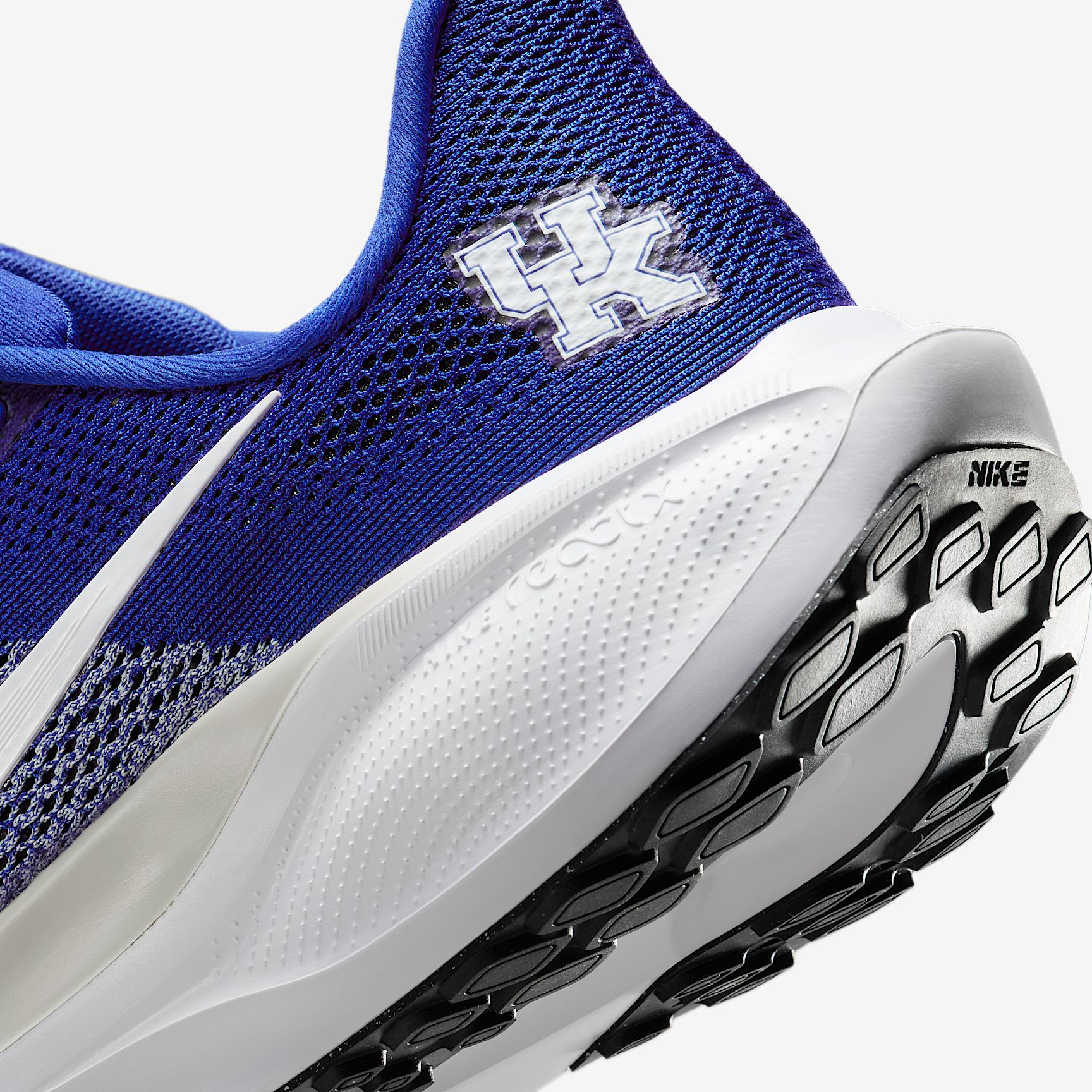 Kentucky Pegasus 41 Men's Nike College Road Running Shoes Product Image