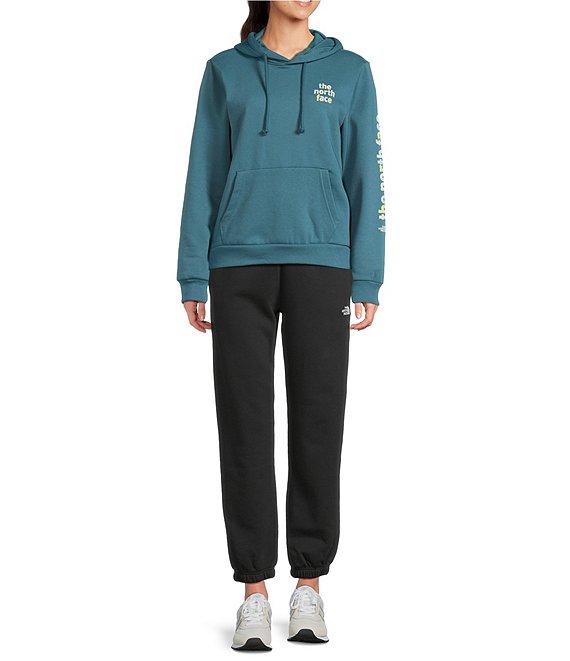 The North Face Evolution Proud Graphic Pullover Hoodie Product Image