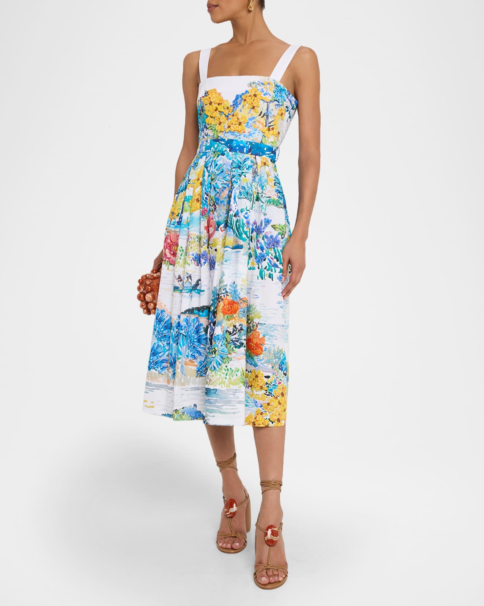 Iris Painterly-Print Sleeveless Fit-&-Flare Midi Dress Product Image