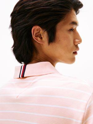 Regular Fit Stripe Cotton Polo Product Image