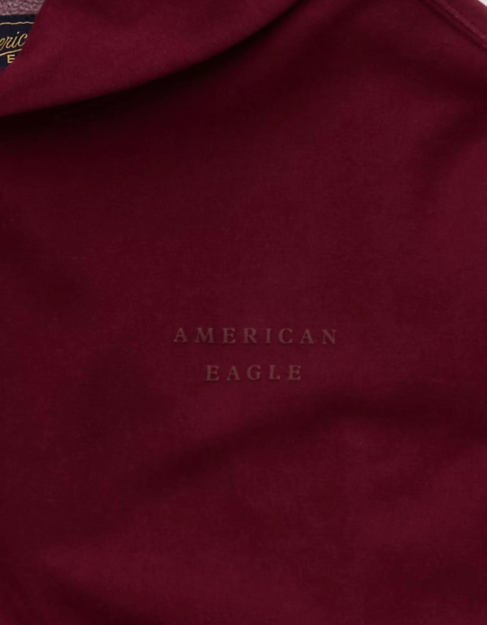 AE Laidback Luxe Heavyweight Graphic Hoodie Product Image