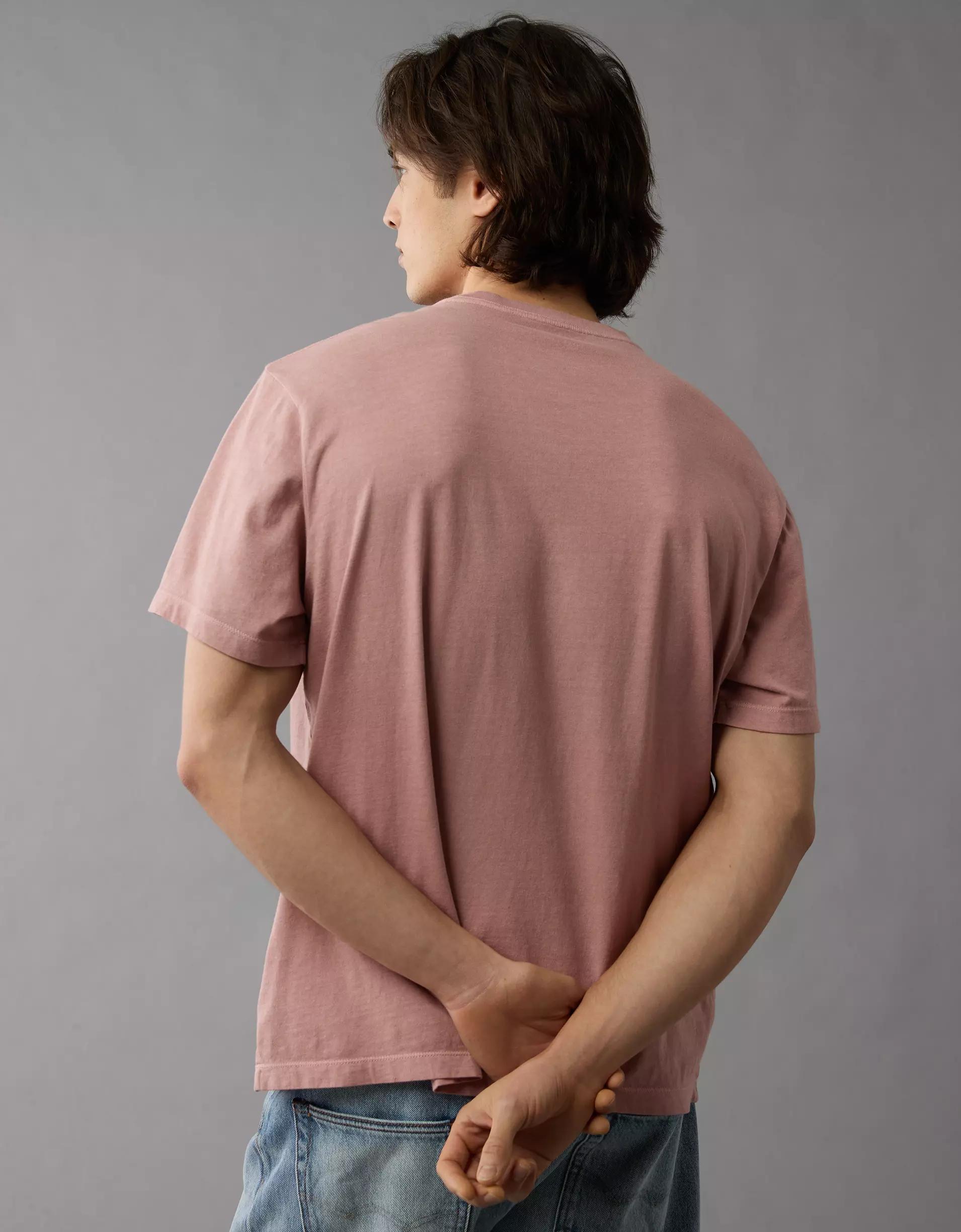 AE Logo Lived-In T-Shirt Product Image