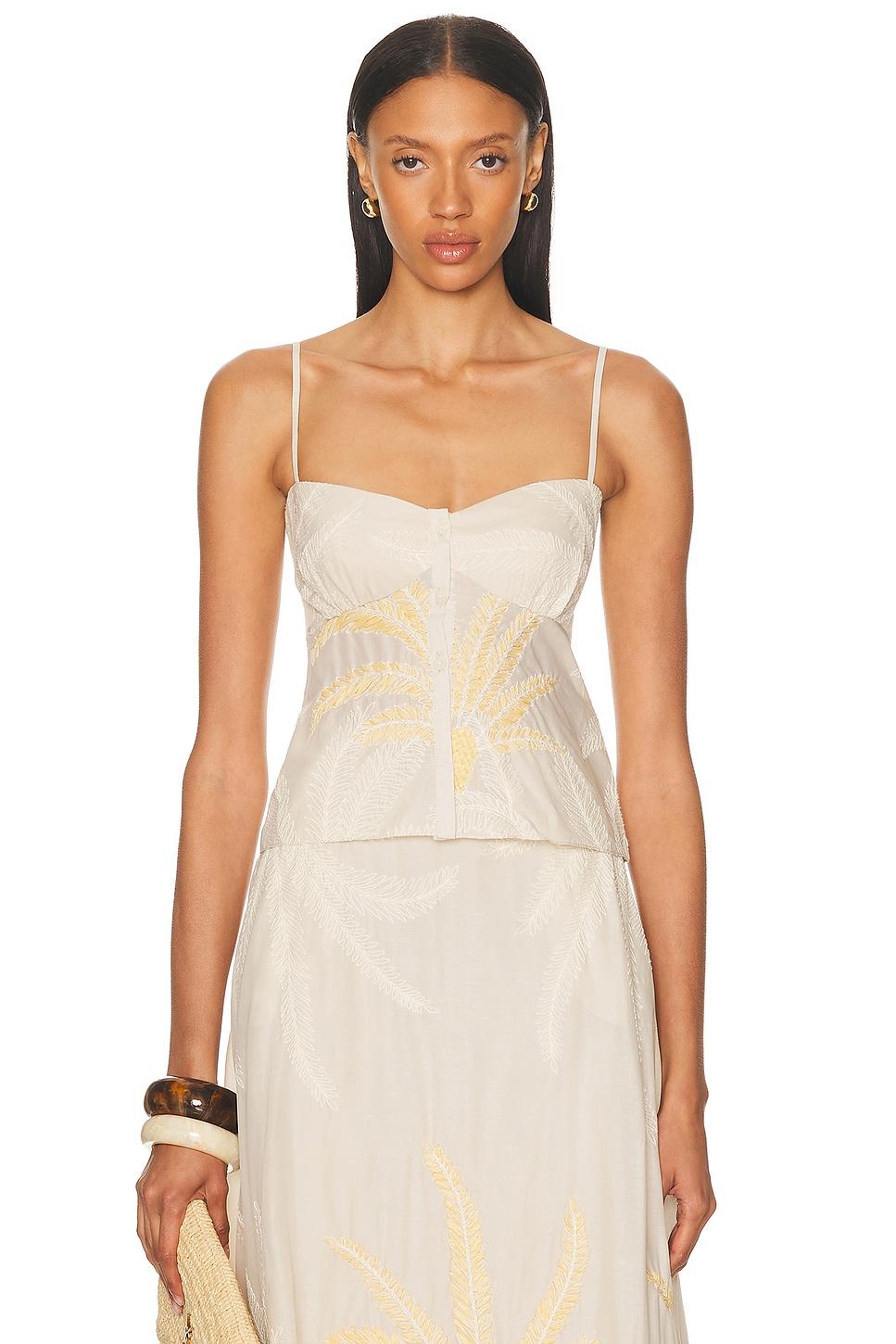 Thong 3 Pack Product Image