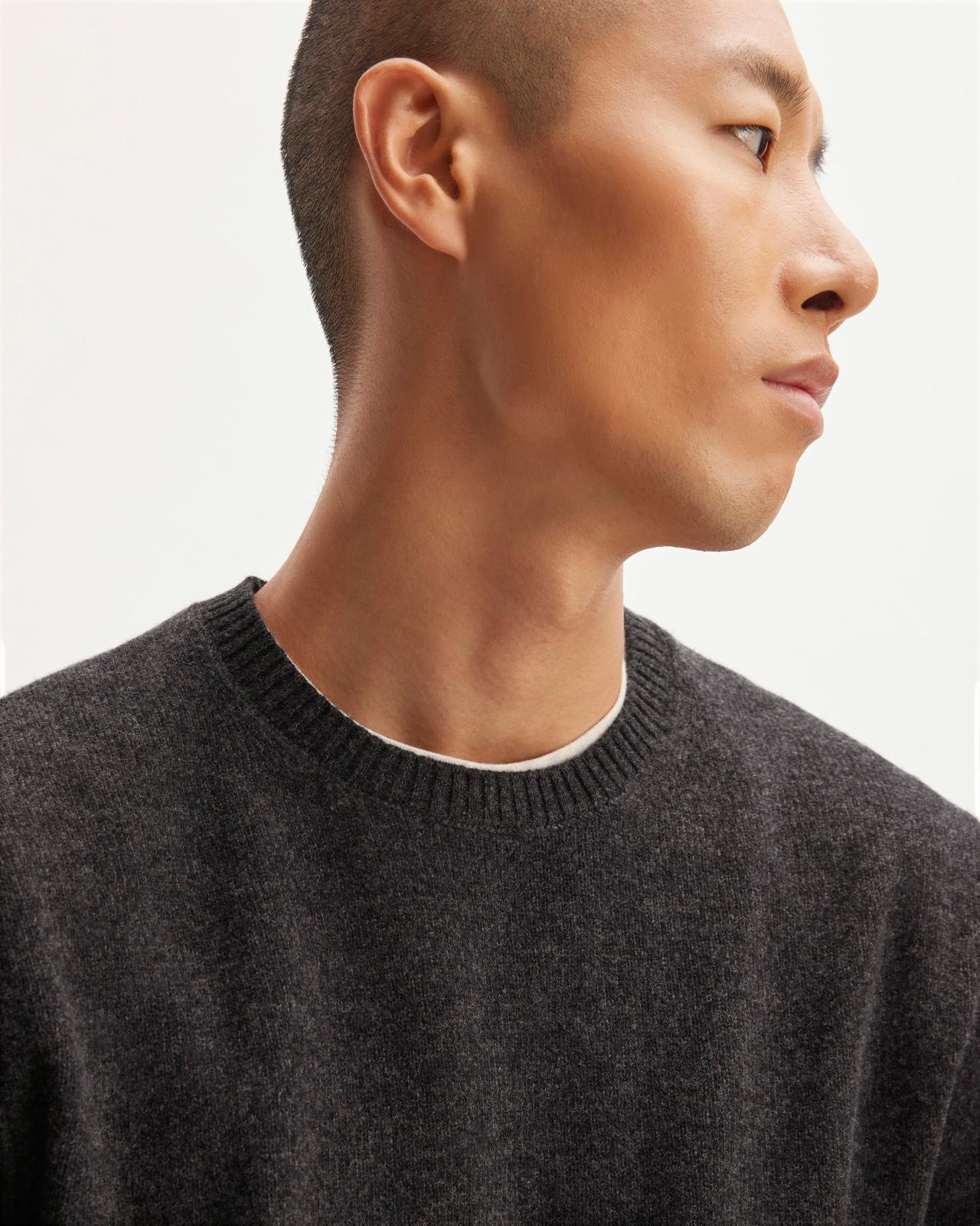 Mens Premium Merino Crew Neck Sweater by Everlane Product Image