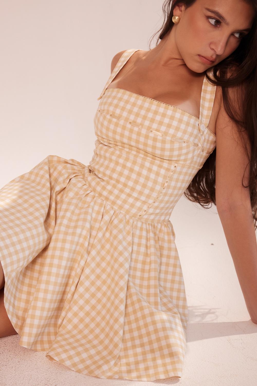 Isadora  gingerbread gingham mini dress Product Image