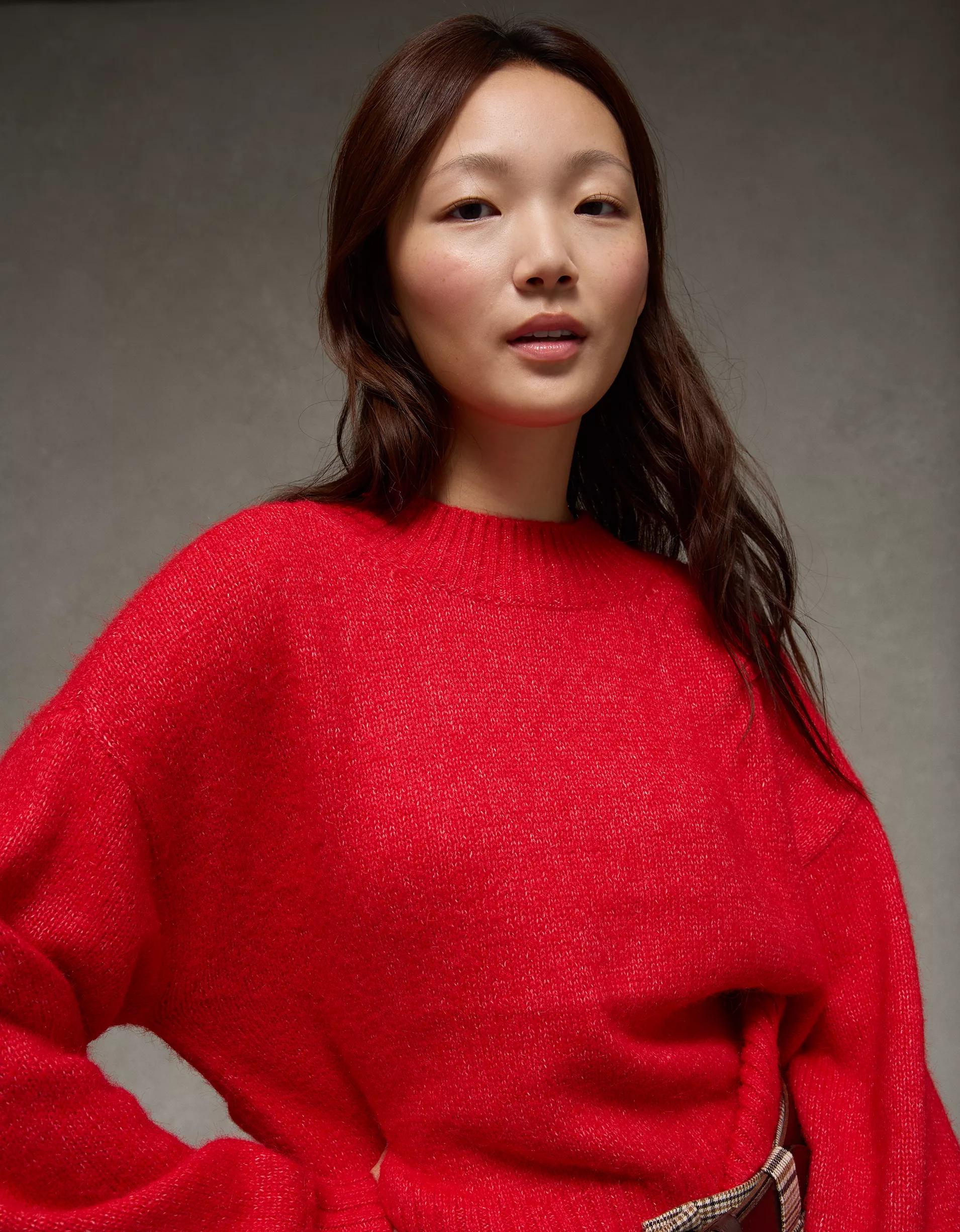 AE Snow Stopper Sweater Product Image