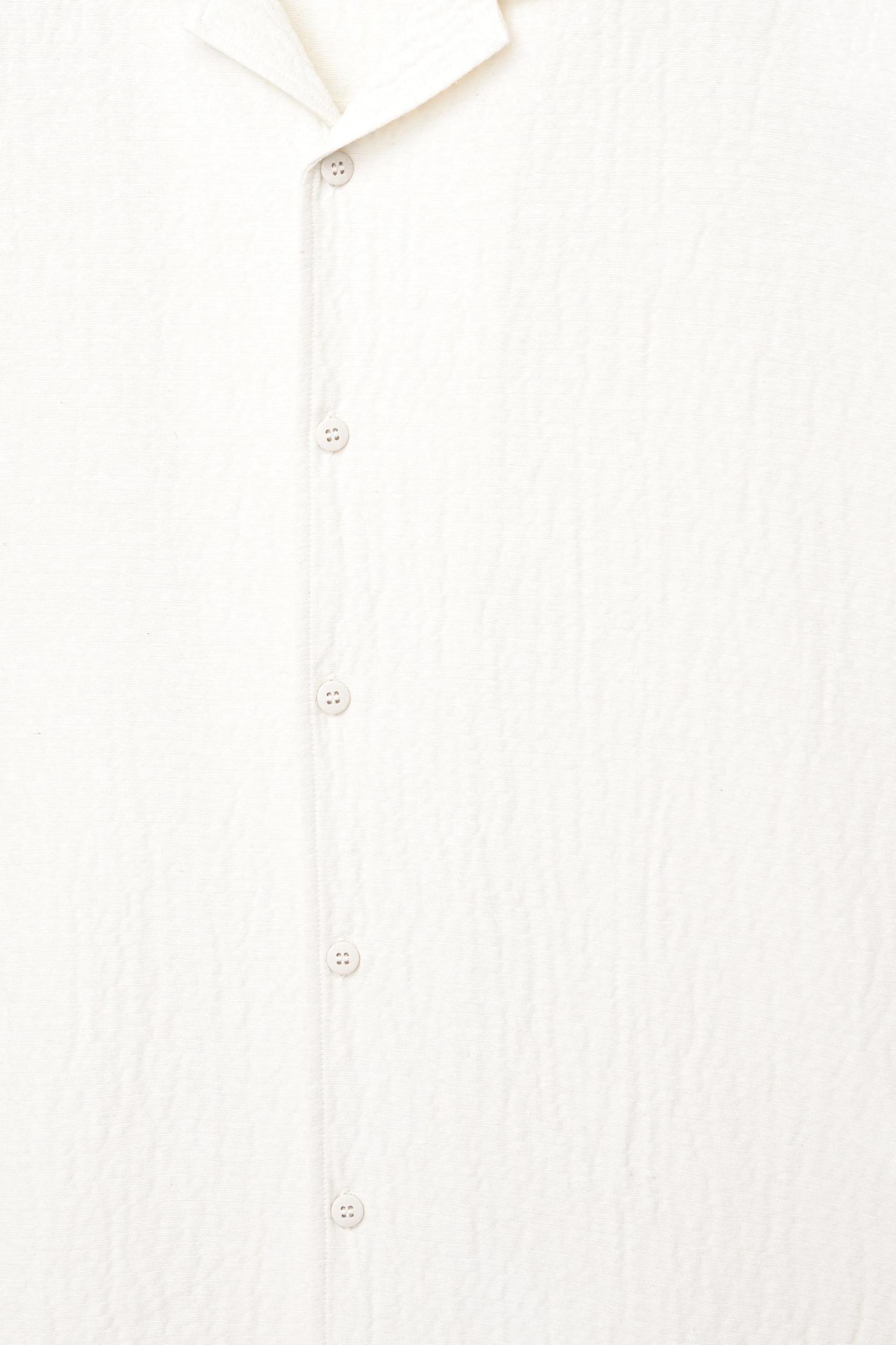 Short sleeve crepe shirt Product Image