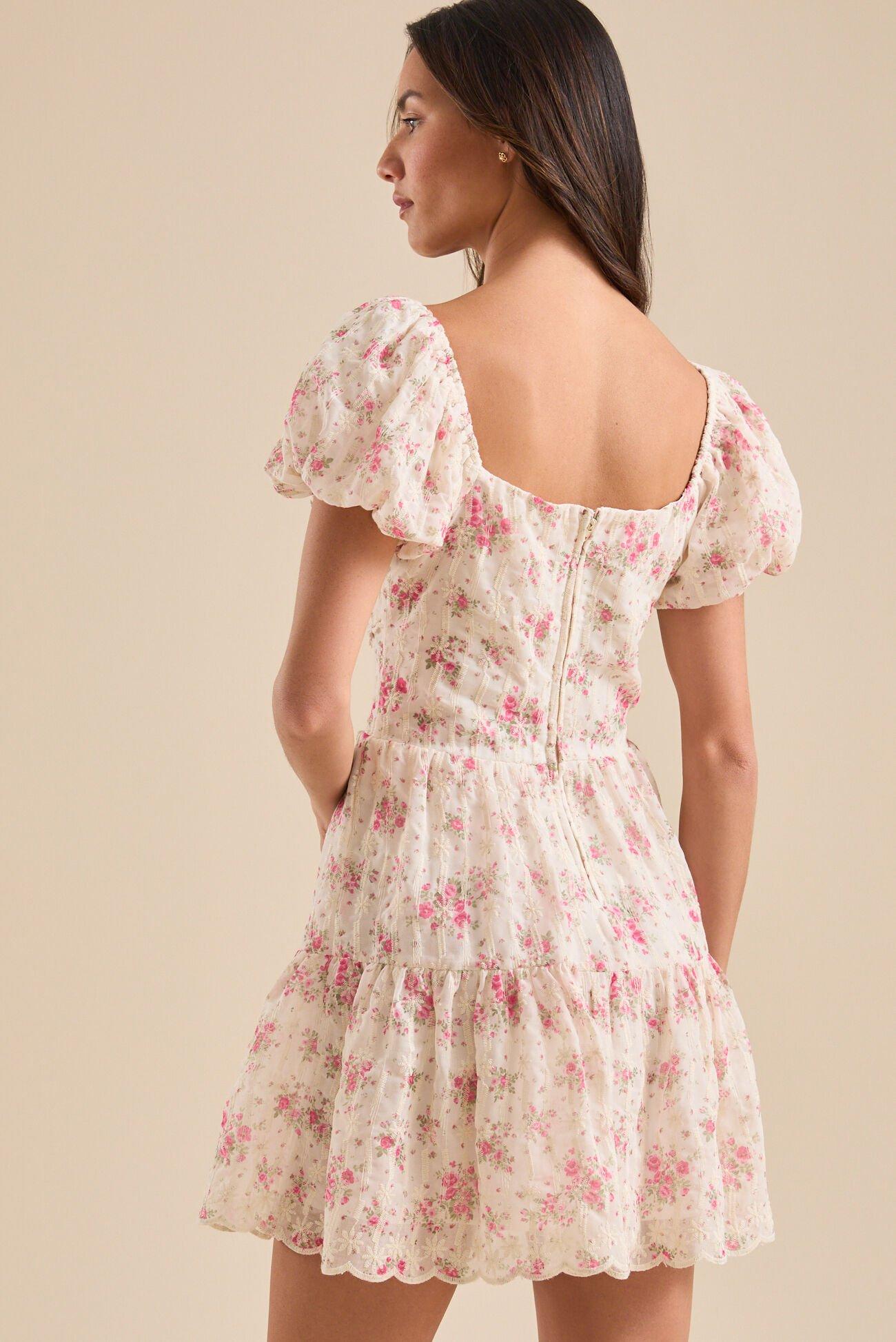 Ainsley Floral Embroidered Mini Dress Product Image