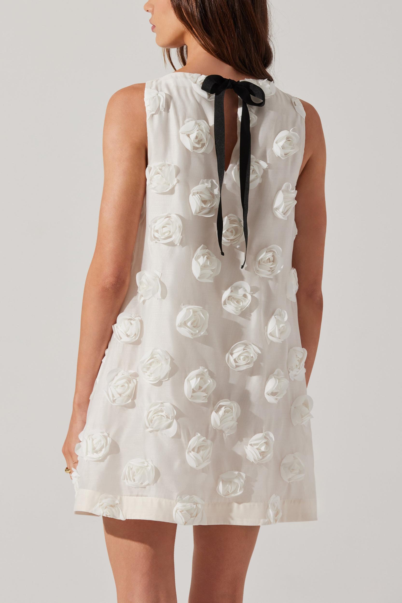 Willow Dress Product Image