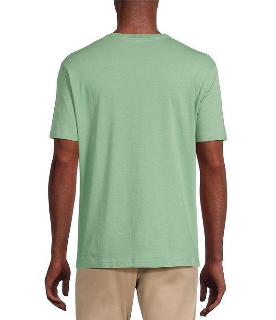 Cremieux Blue Label Jersey Knit Short Sleeve V-Neck T-Shirt Product Image