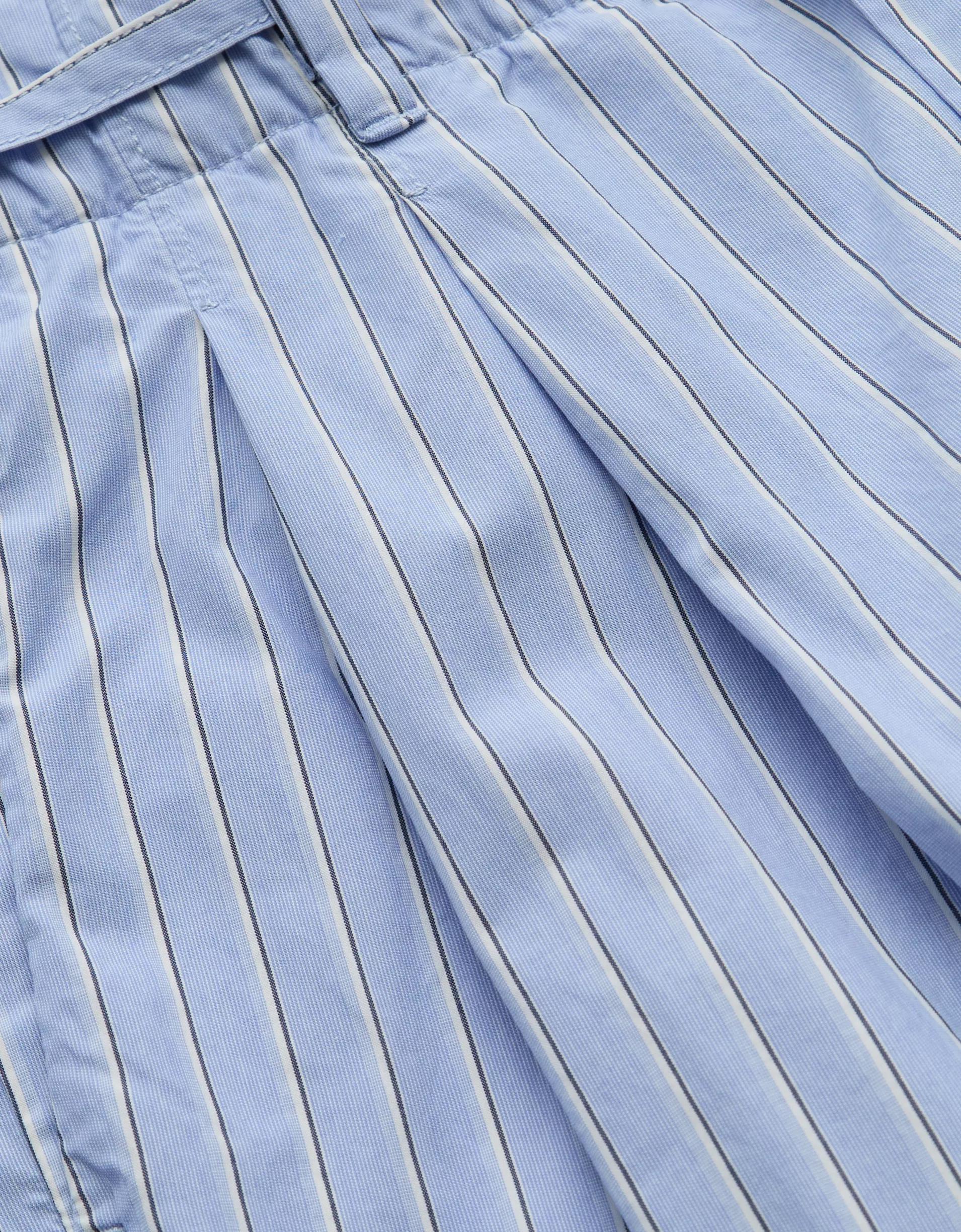 AE77 Premium Striped Wide Trouser Product Image