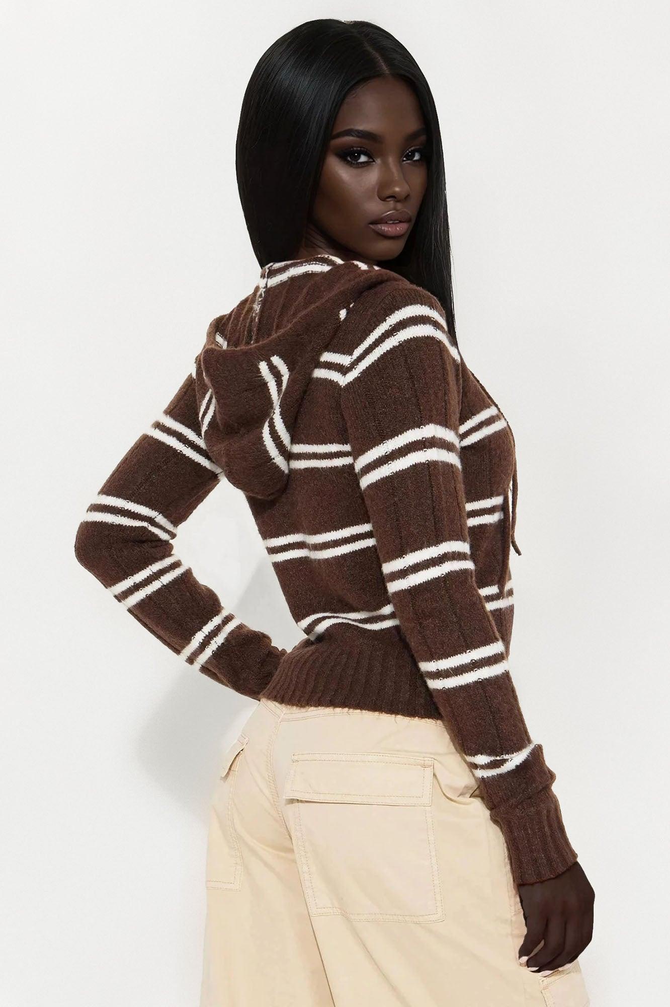Striped Life Zip Front Hoodie - Brown Combo Female Product Image
