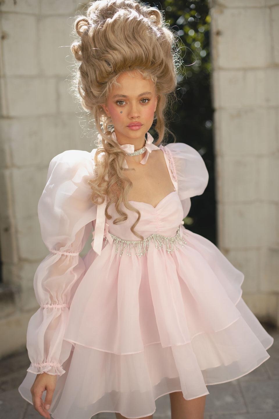 The Ballerina Moonlight Dress Product Image