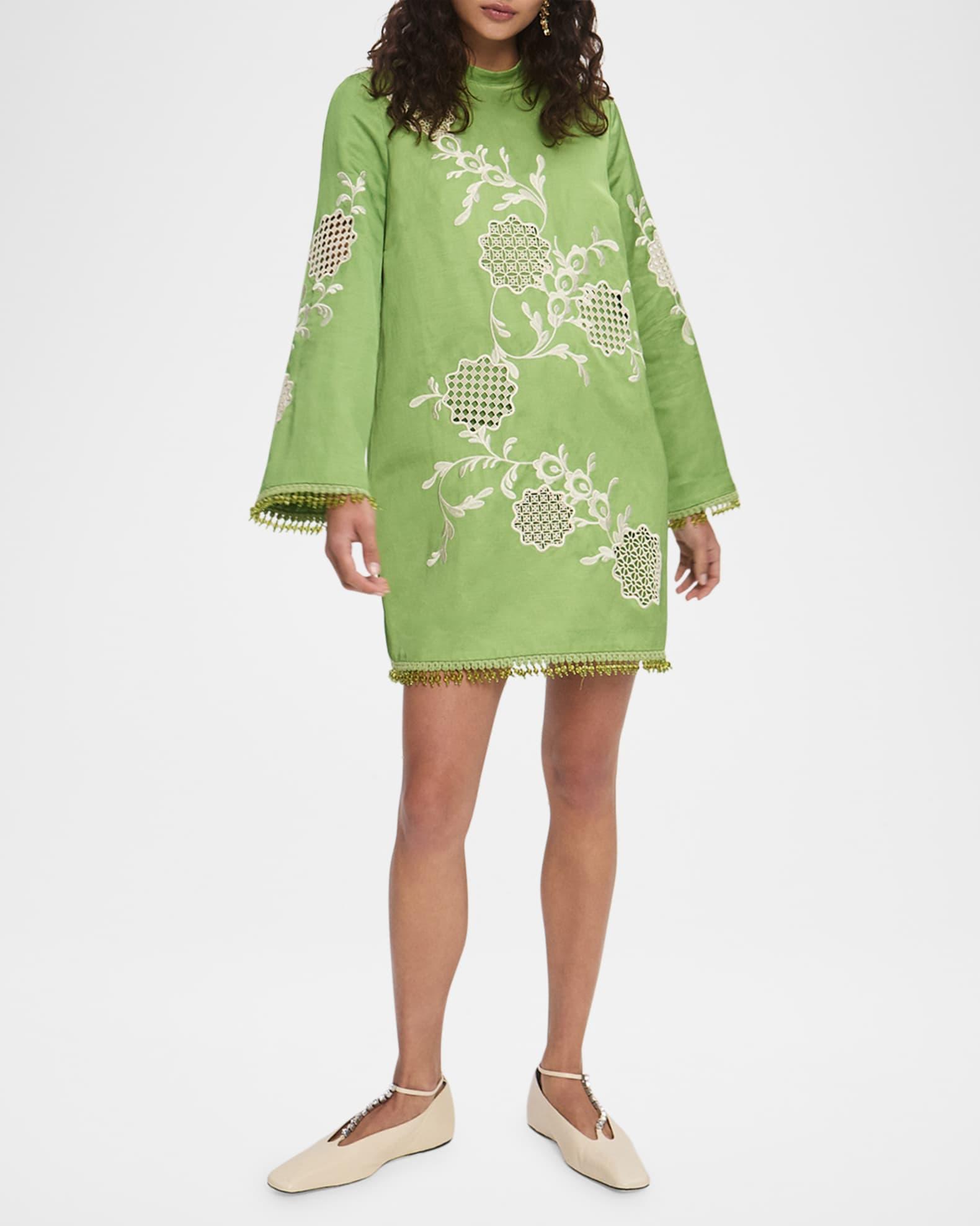 Luisa Embroidered Mini Dress Product Image