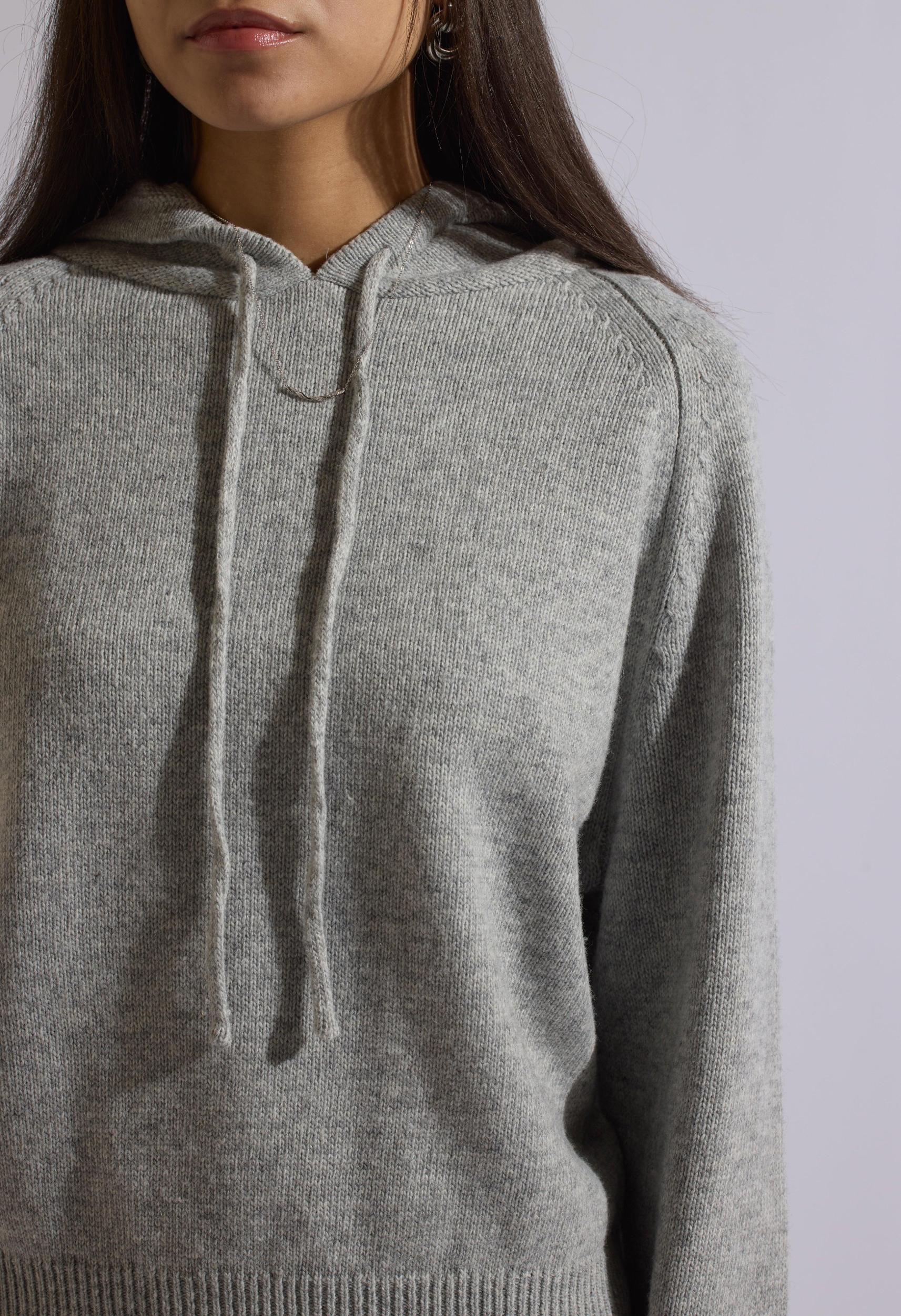 Fox Gray Wool Set Hoodie Product Image