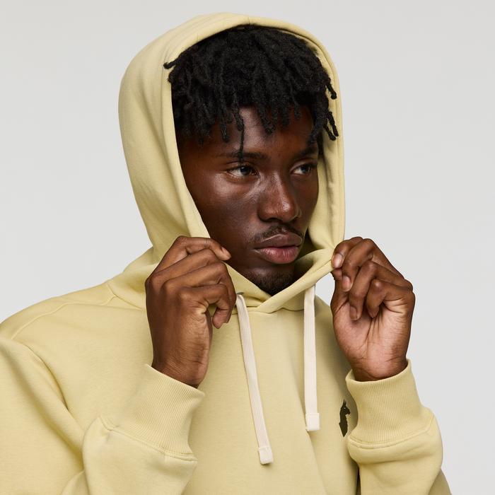 Up and Up Pullover Hoodie - Men's Product Image