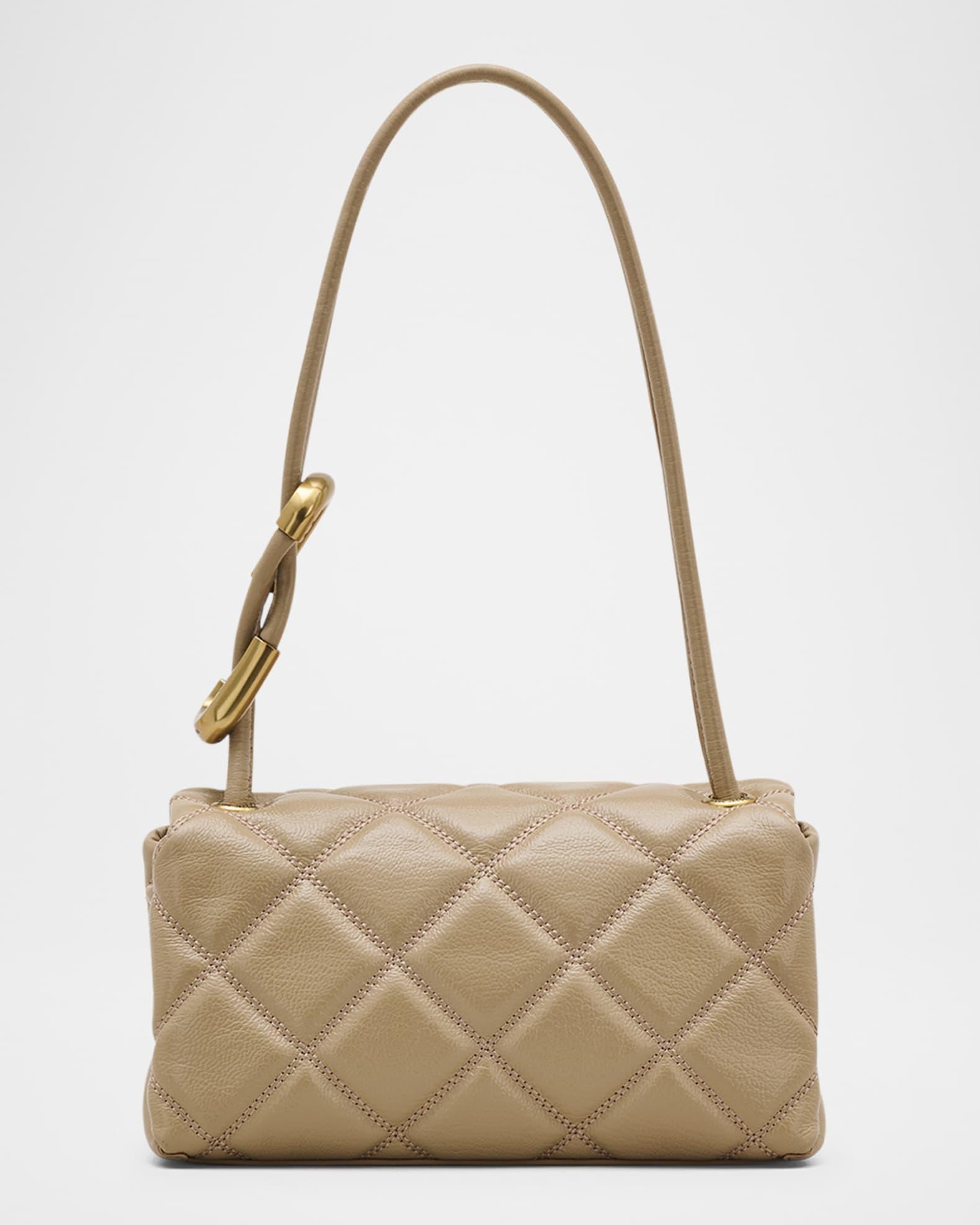 The Mini Dual Shoulder Bag Product Image