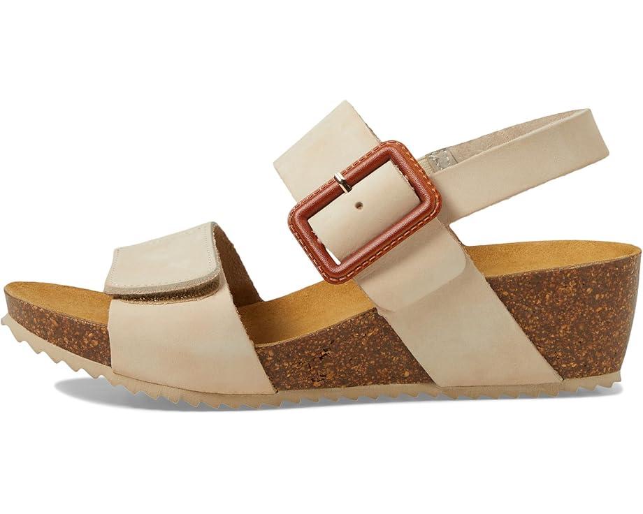 Lily 2 Product Image