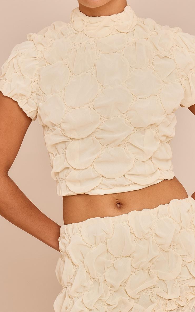 Petite Almond Textured Open Back Top Product Image