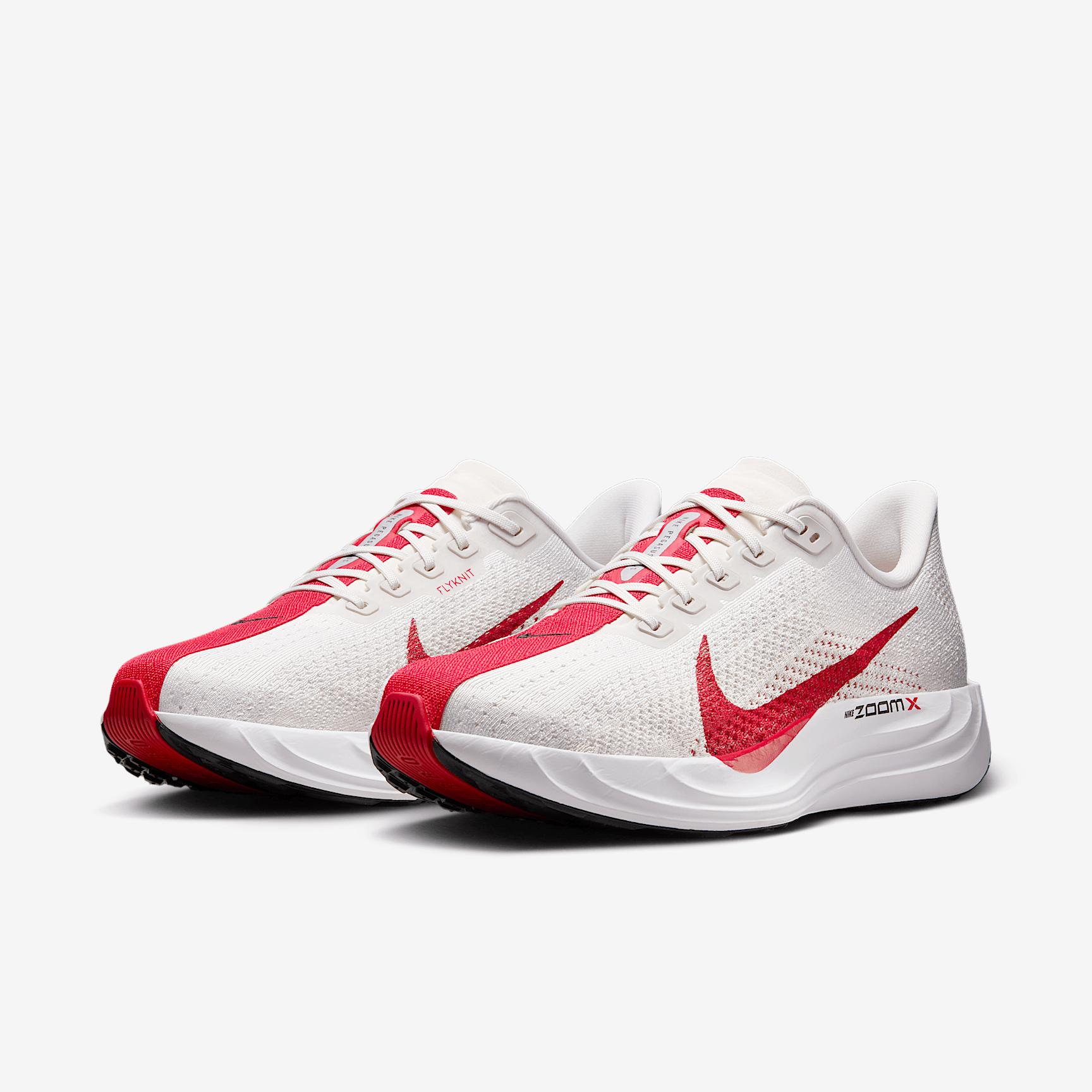 Nike Mens Pegasus Plus Road Running Shoes | FQ7262-003 Product Image