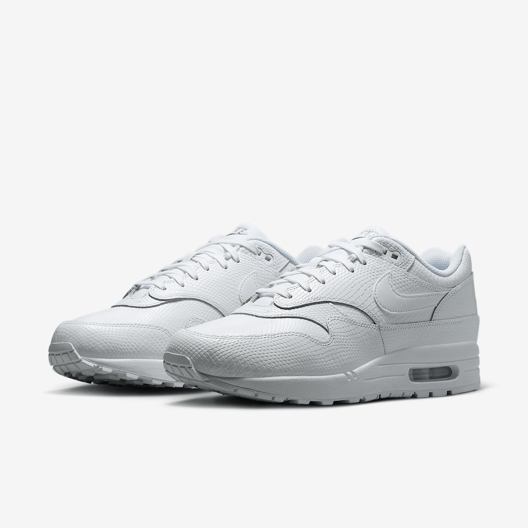 Nike Mens Air Max 1 Premium Shoes | HV1211-100 Product Image