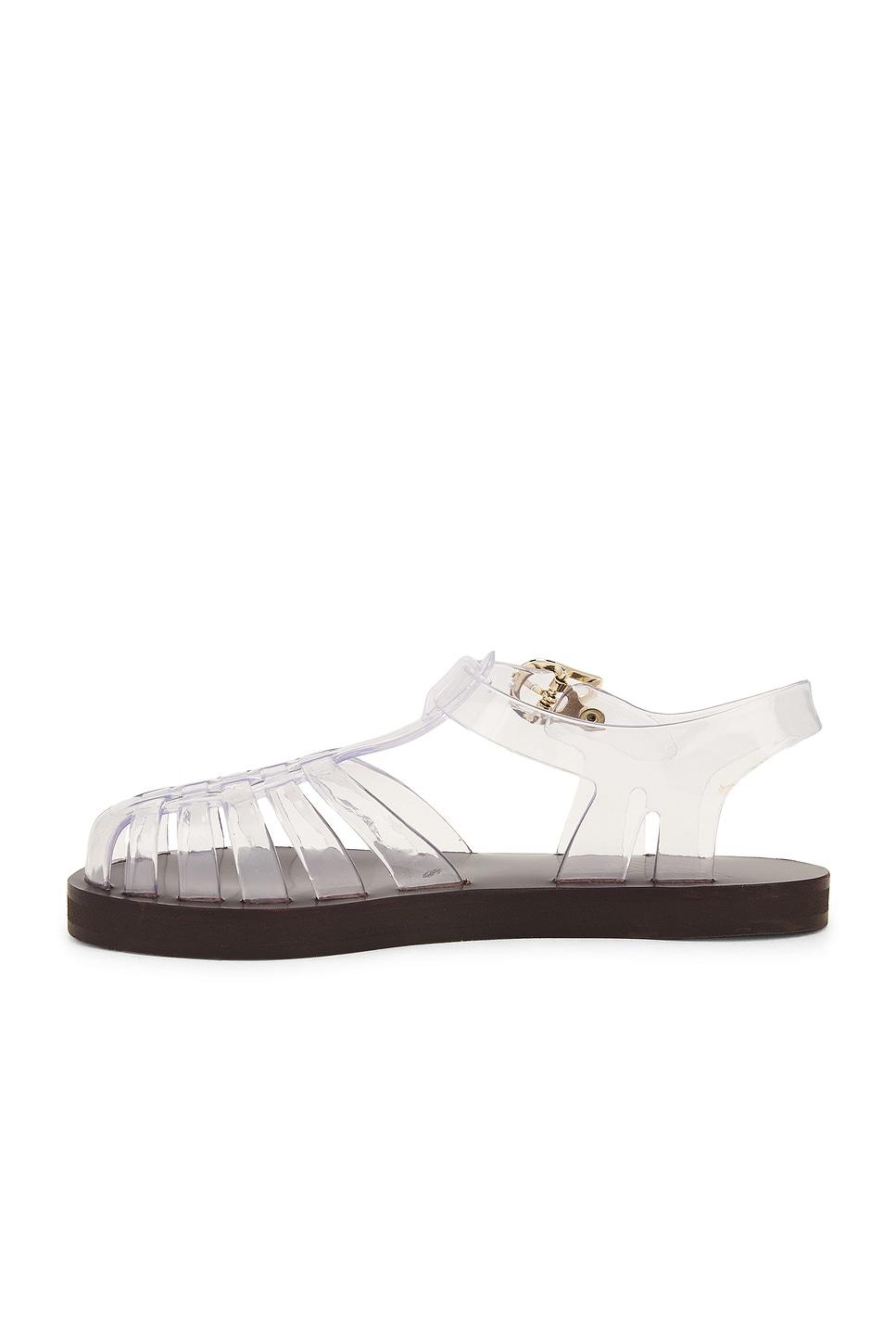 Homeria Jelly Sandal Product Image