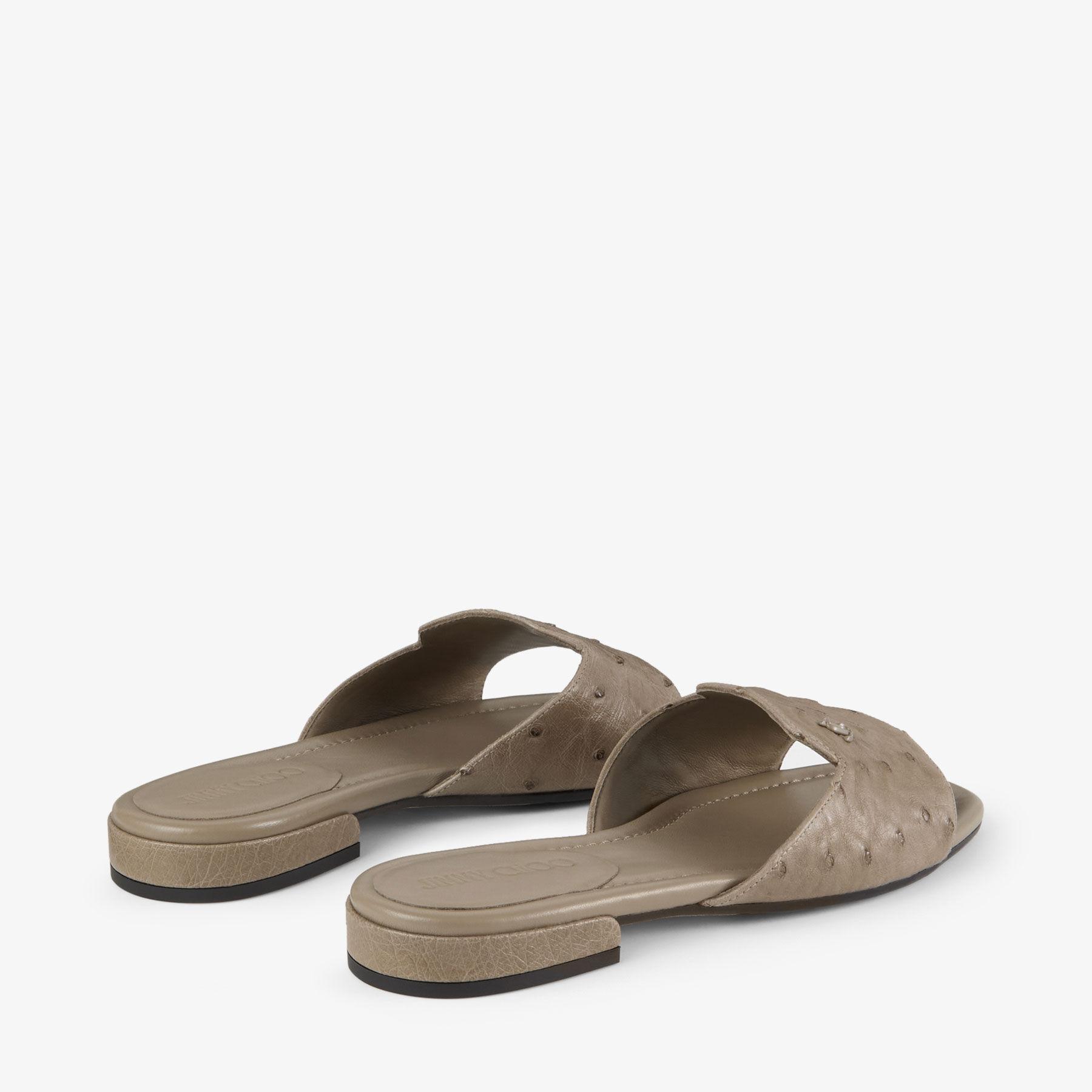 Dina Flat Product Image