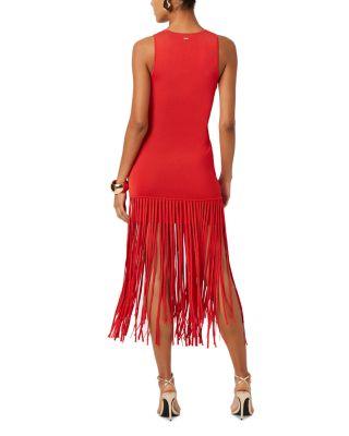 Margaux Fringe Dress Product Image