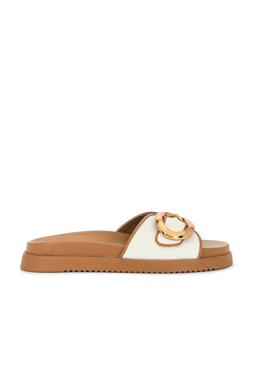 Mandie Slides Steve Madden Product Image