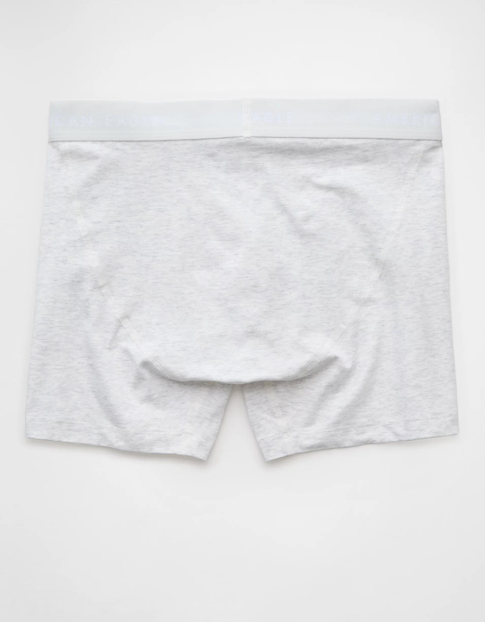 AEO Men's 4.5" Classic Boxer Brief Product Image