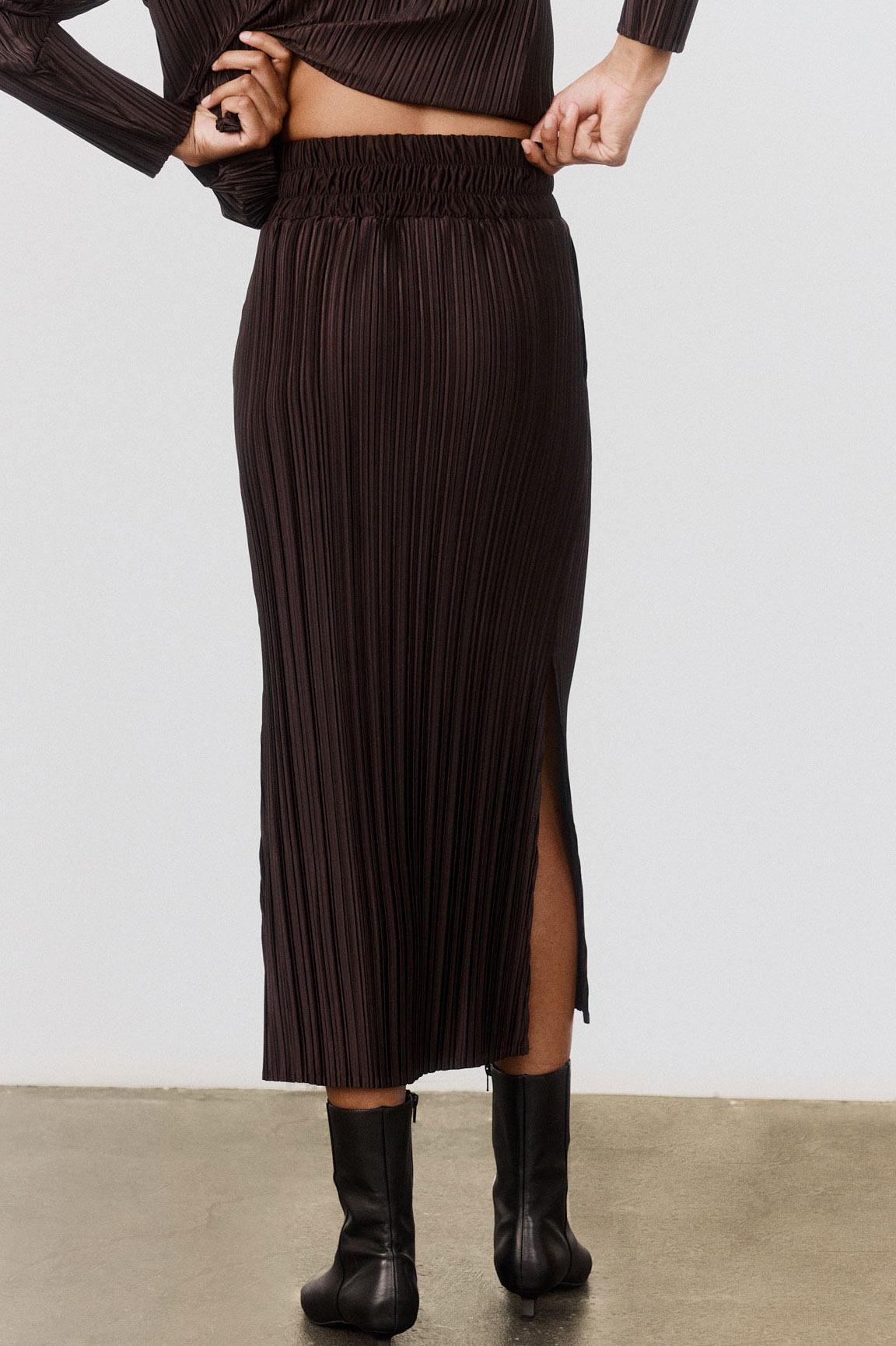 Relaxed Pleated Skirt Product Image