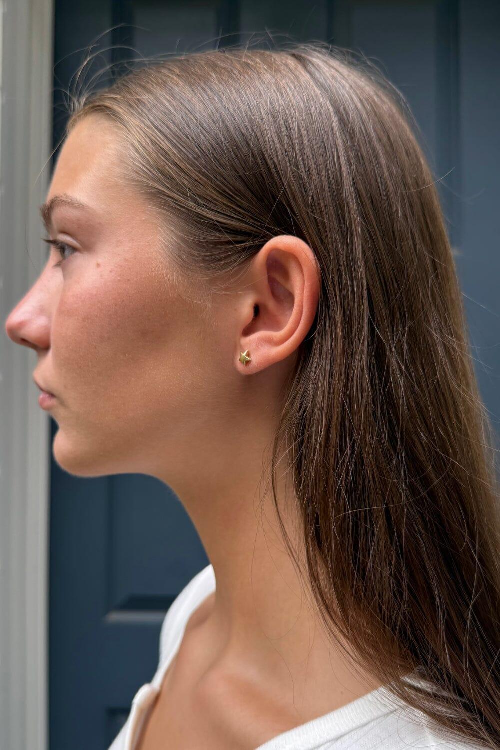 Star Earrings Product Image